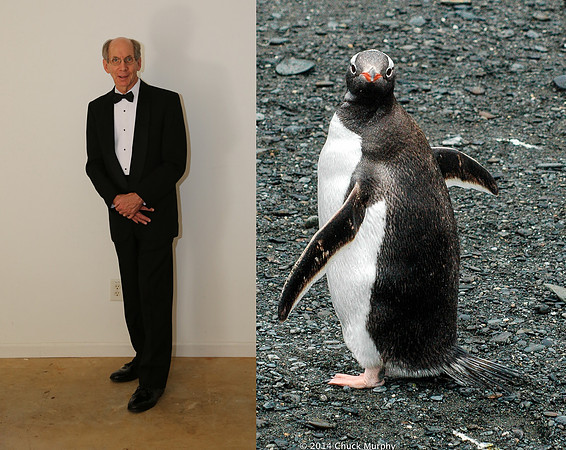 Which is the real Chuck?