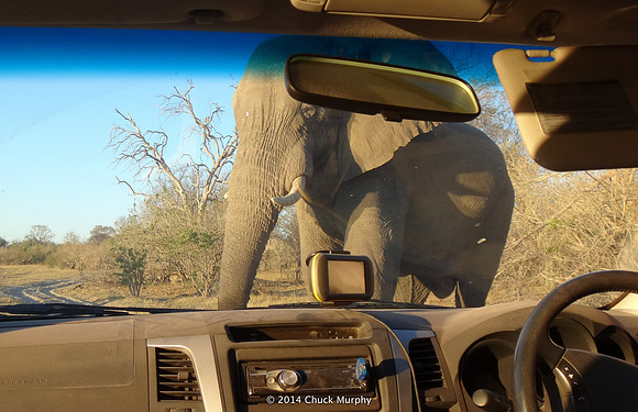 We were afraid he was going to come in, or drag us out, so we quickly rolled up the windows.