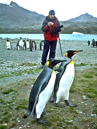 Antarctica, '05