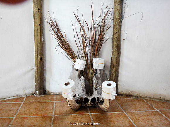 Botswana TP holder.