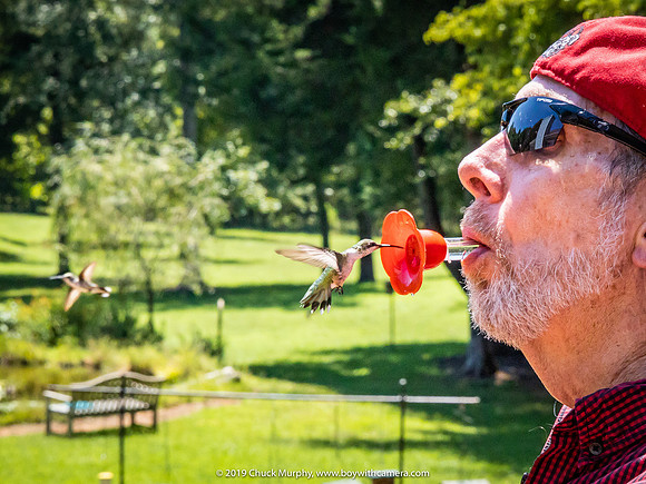Human hummer feeder, Athens, 2019