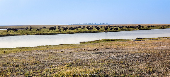 Okavango Vista