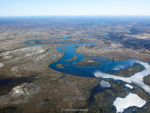 Okavango Delta, aerial view.